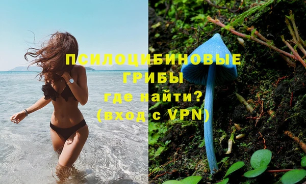 синтетический гашиш Алексеевка