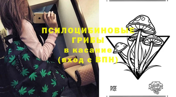 синтетический гашиш Алексеевка