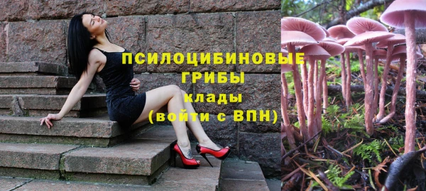синтетический гашиш Алексеевка