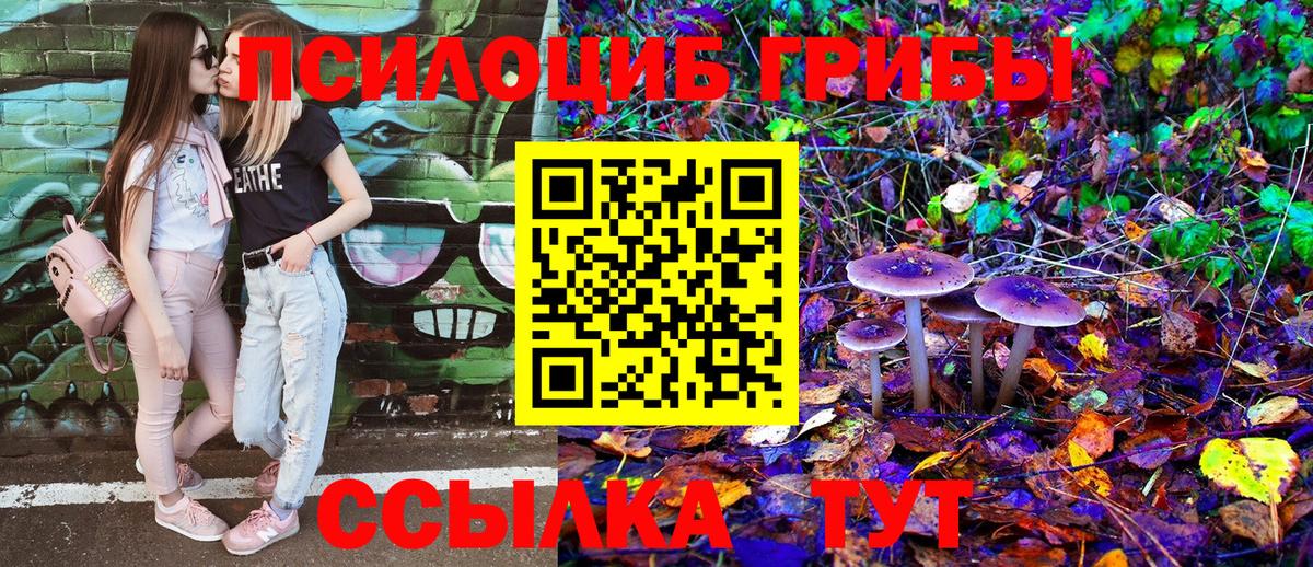Галлюциногенные грибы Magic Shrooms Апрелевка
