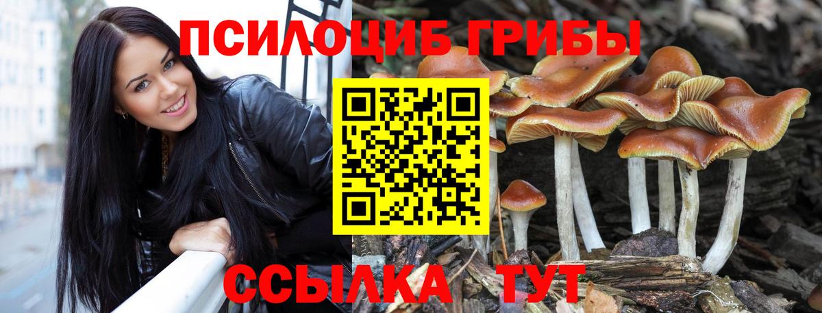 Апрелевка  Галлюциногенные грибы Psilocybe  Вход с VPN  Псилоцибиновые грибы мицелий 